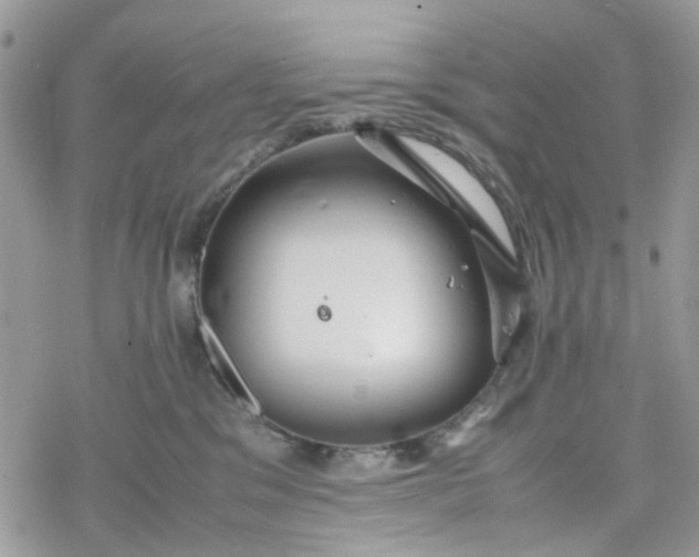 X0000078240329200611171505