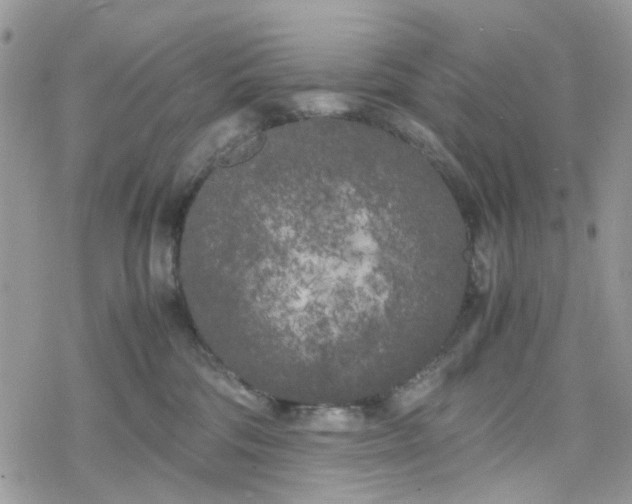 X0000078240330200611171505