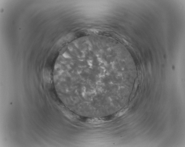 X0000078240331200611171505