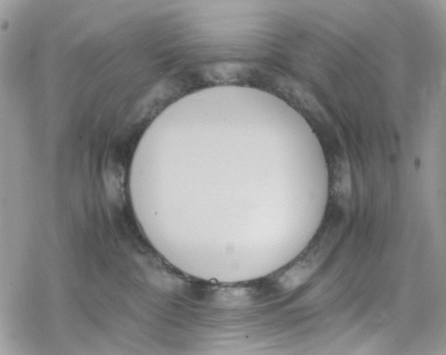 X0000078240332200611171505