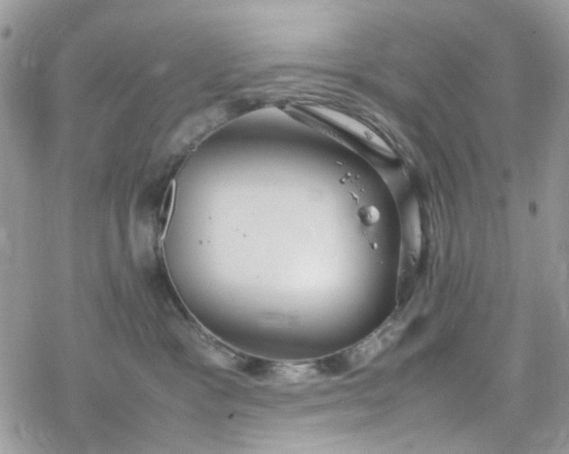 X0000078240333200611171505