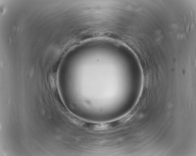 X0000078240335200611171505