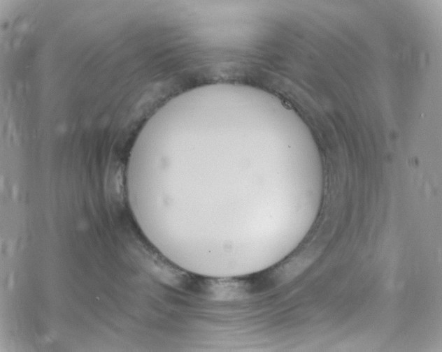 X0000078240336200611171505