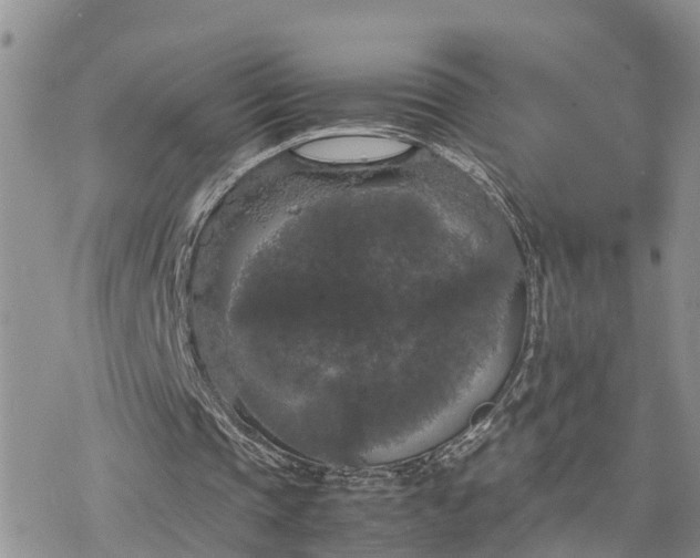 X0000078240337200611171504