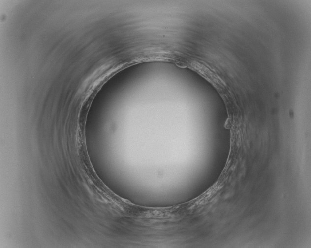 X0000078240338200611171504