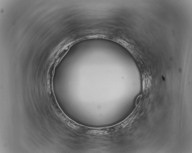 X0000078240339200611171504