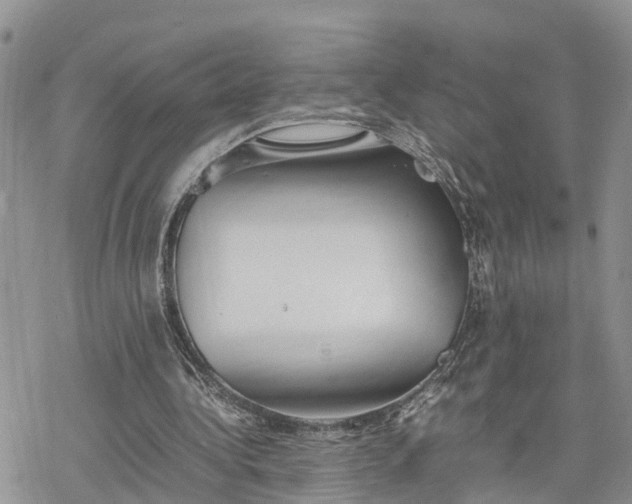 X0000078240340200611171504