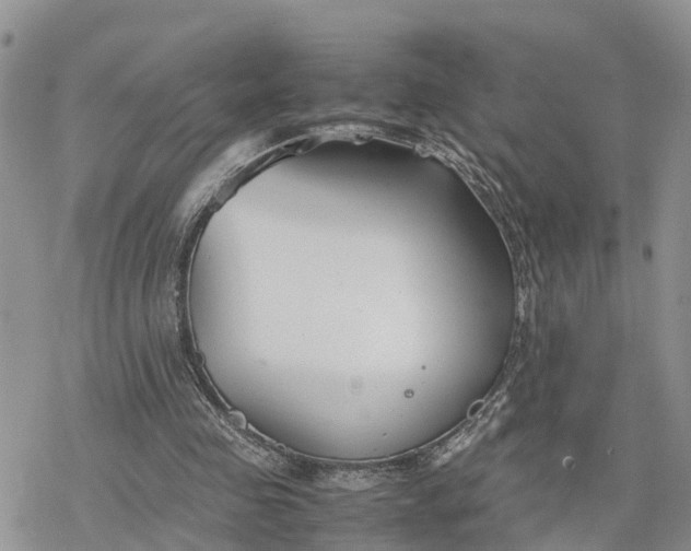 X0000078240341200611171504