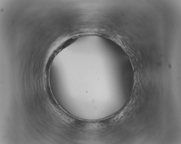 X0000078240342200611171504