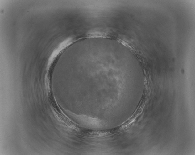 X0000078240343200611171504