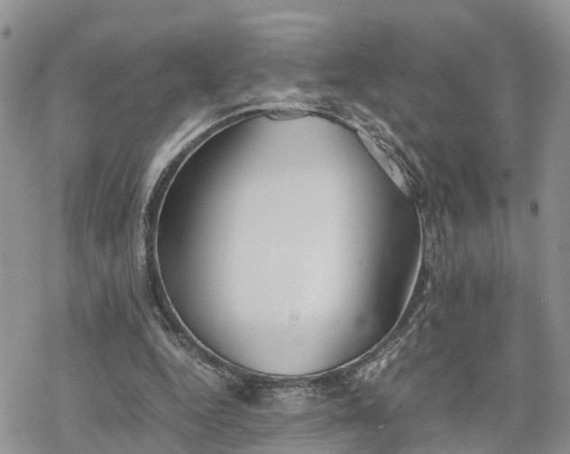 X0000078240344200611171504