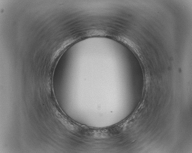 X0000078240345200611171504