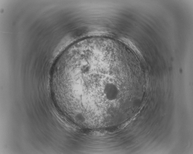 X0000078240346200611171504