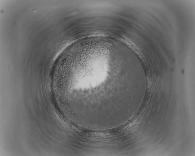 X0000078240347200611171504