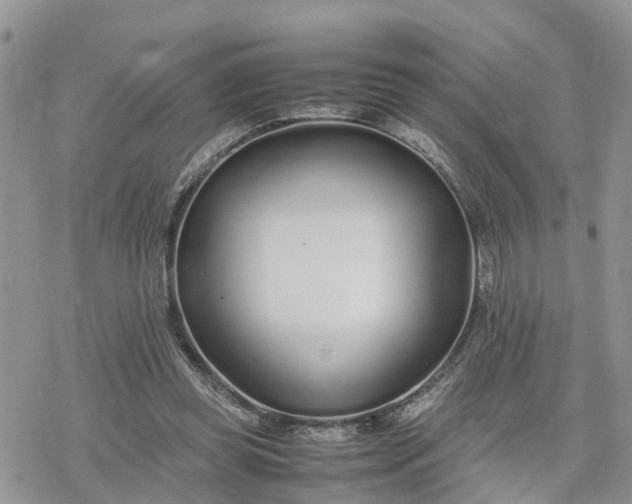 X0000078240349200611171504