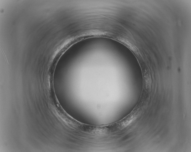 X0000078240350200611171504