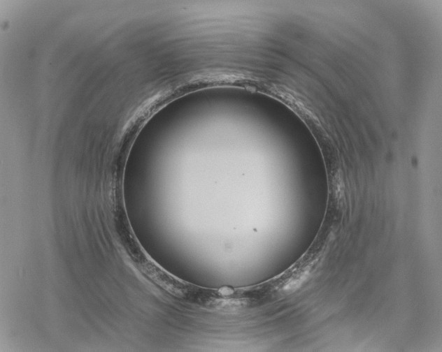 X0000078240352200611171504