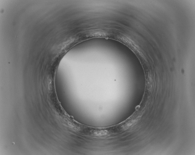 X0000078240355200611171504