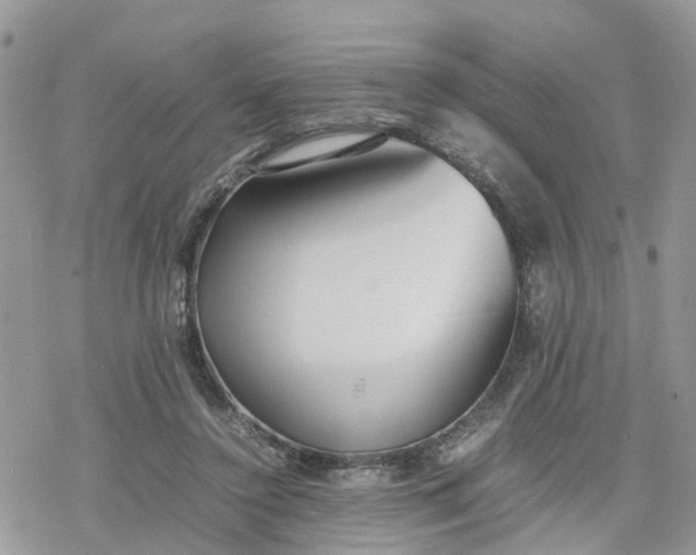 X0000078240356200611171504