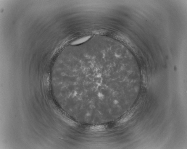 X0000078240357200611171504