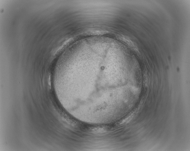 X0000078240358200611171504