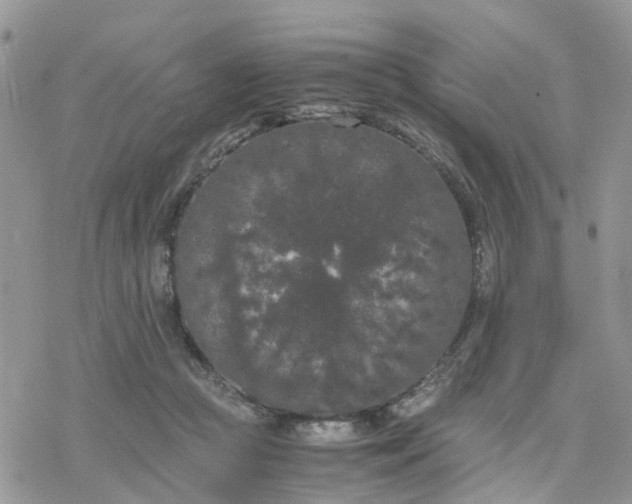 X0000078240361200611171504