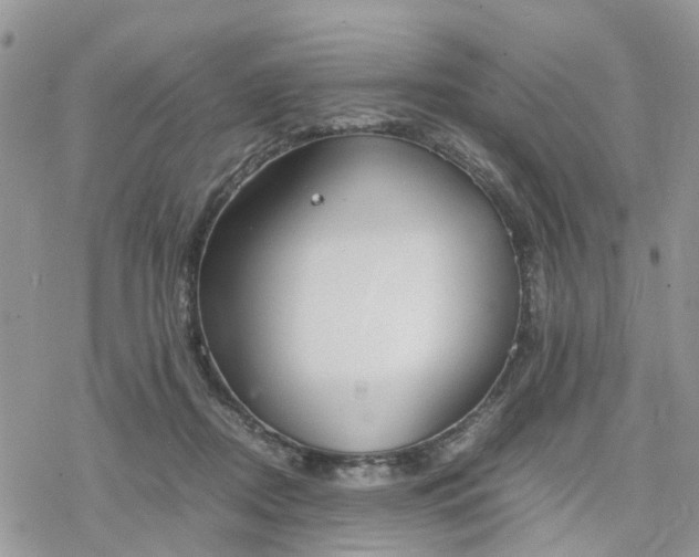 X0000078240362200611171504