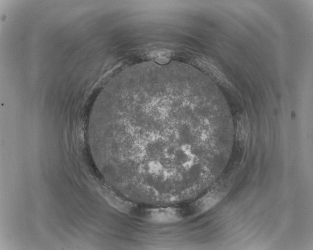 X0000078240363200611171504