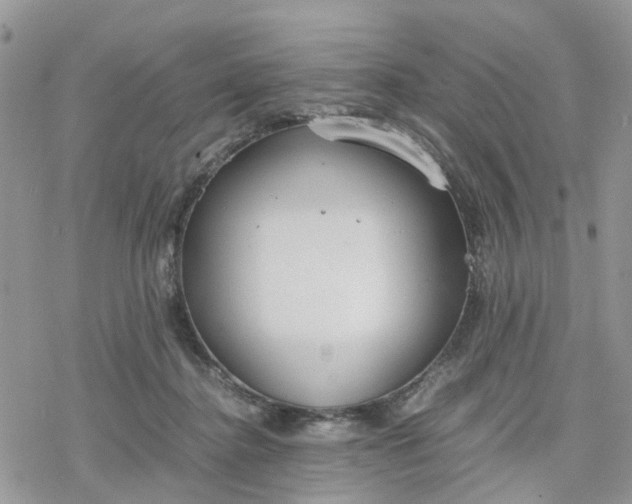 X0000078240364200611171504