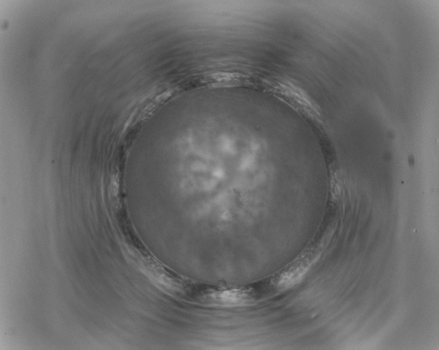 X0000078240365200611171504