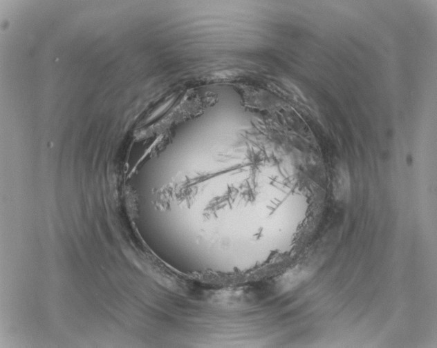 X0000078240366200611171504