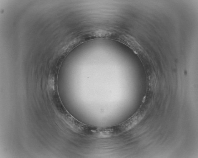 X0000078240368200611171504