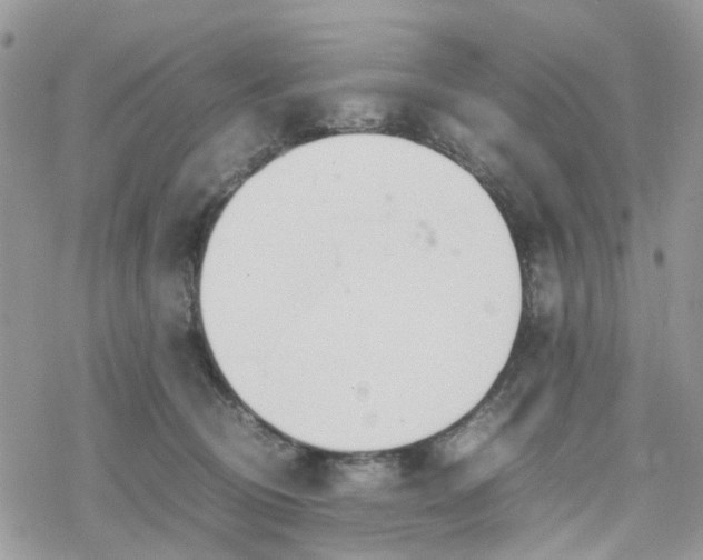 X0000078240370200611171504