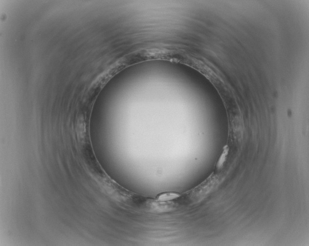 X0000078240372200611171504