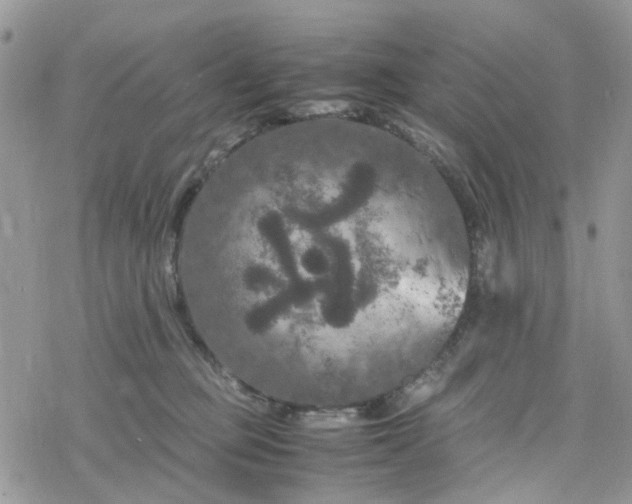 X0000078240373200611171504