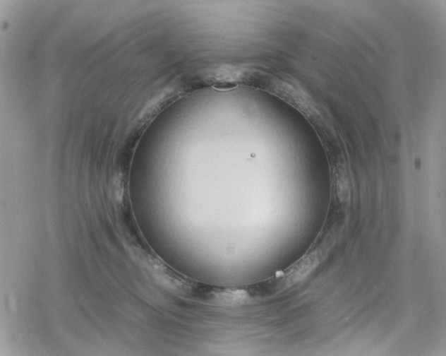 X0000078240374200611171504