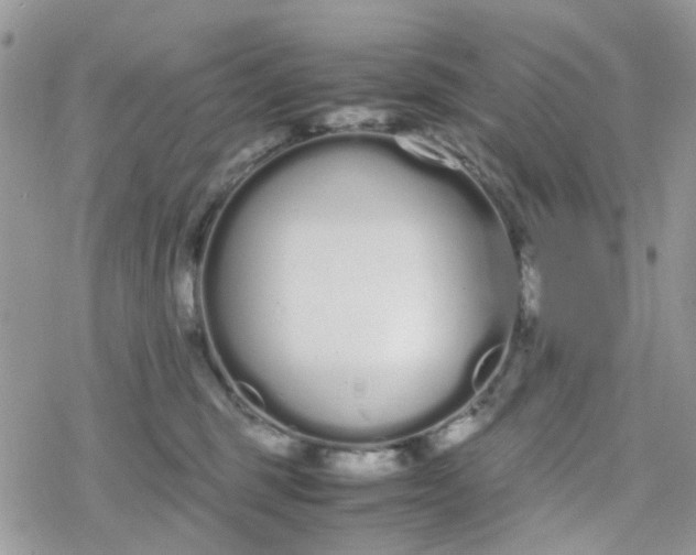 X0000078240375200611171504