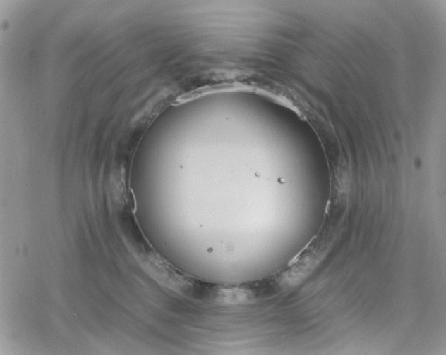 X0000078240376200611171504