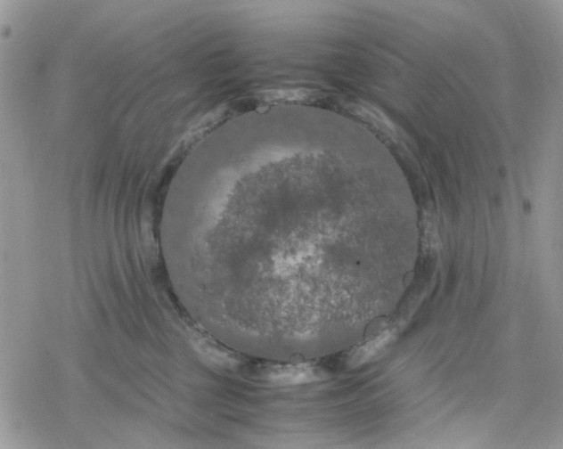 X0000078240377200611171504