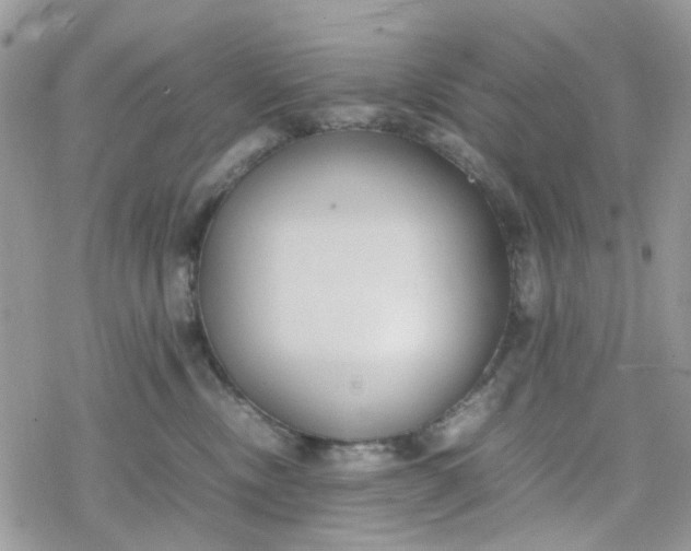 X0000078240378200611171504