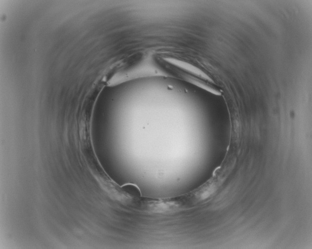 X0000078240379200611171504