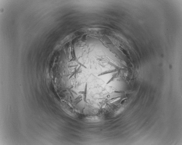 X0000078240381200611171504