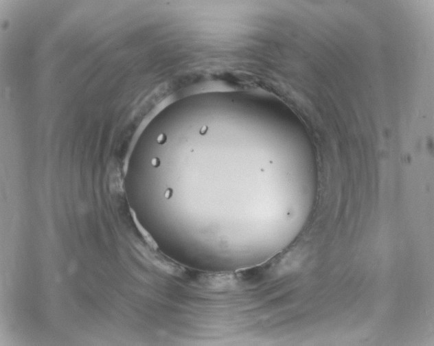 X0000078240384200611171505