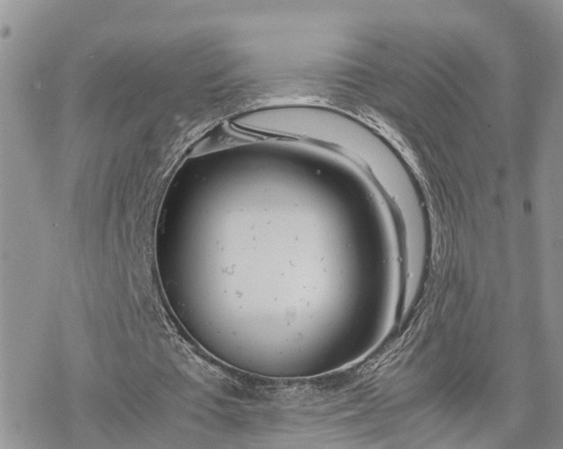 X0000078240385200611171504