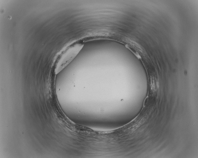 X0000078240388200611171504