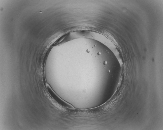 X0000078240389200611171504