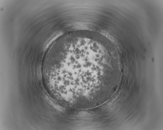 X0000078240390200611171504