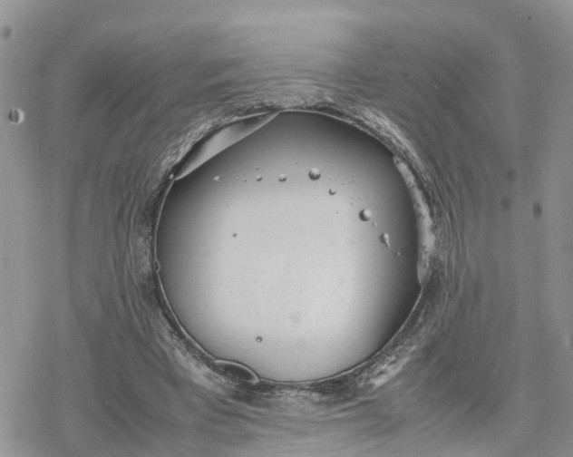 X0000078240393200611171504