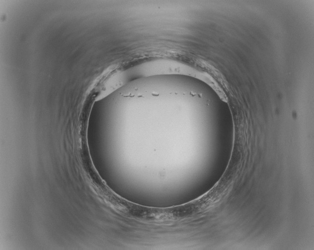 X0000078240395200611171504