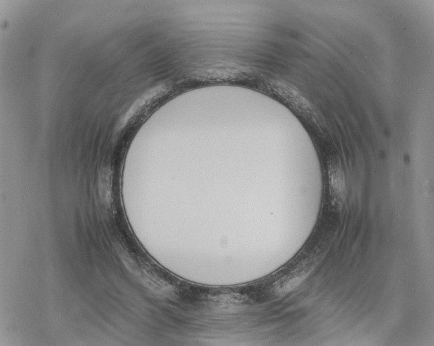 X0000078240396200611171504